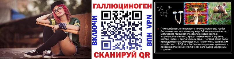 Псилоцибиновые грибы Psilocybe  Алдан 