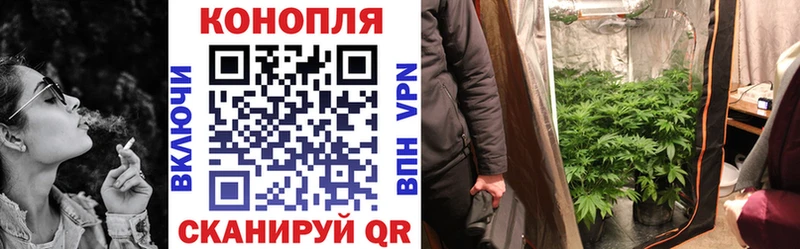 Шишки марихуана семена  Алдан 